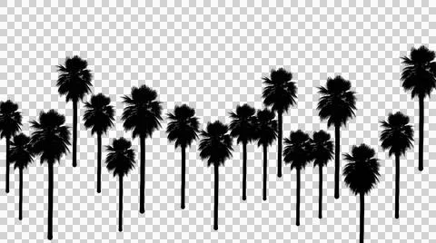 Multiple palm trees in varying heights forming a scenic black silhouette on.. イラスト素材