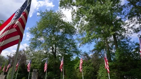 Multiple pans to waving American flags Stock Footage 206145153