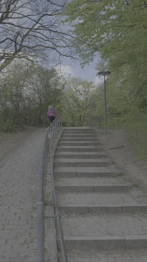 Multiple Park Scenes Collection 動画素材 337112801