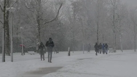 Multiple people in the snow 스톡 동영상 83983974