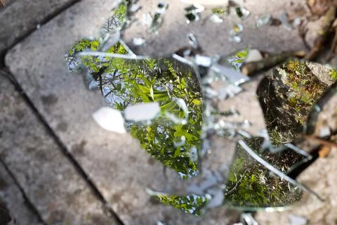 Multiple pieces of broken mirror on grey concrete slab. Green trees reflection Stock Photos