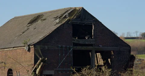 Multiple Pigeons flying into a Derelict brick barn at the Bettisfield Colliery Stock Footage 344245014