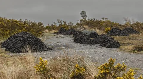 Multiple piles of peat sitting drying out in the bogland Foto stock