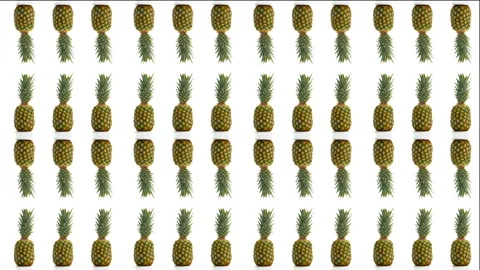 Multiple Pineapple With Clear Background 3 Video stock 170475203
