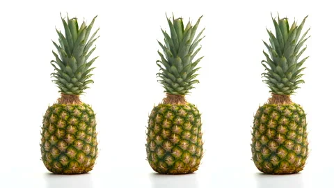 Multiple Pineapple With Clear Background  Stock Footage 170473218