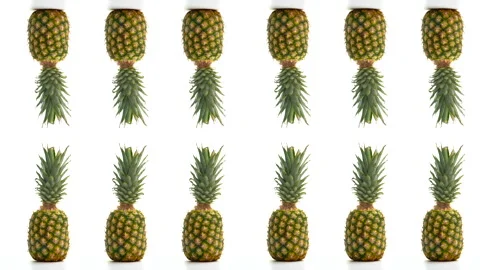 Multiple Pineapple With Clear Background  Stock Footage 170474388