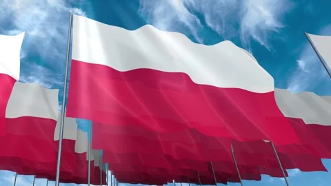 Multiple Poland flags seamless looping waving on blue sky Stock Footage 343683931