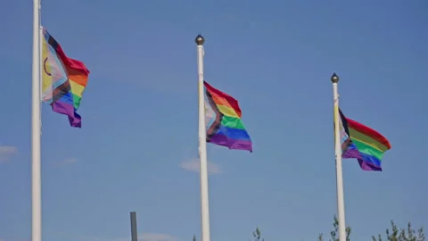 Multiple Progress Pride Flags with Intersex Symbol Stock Footage 316820041