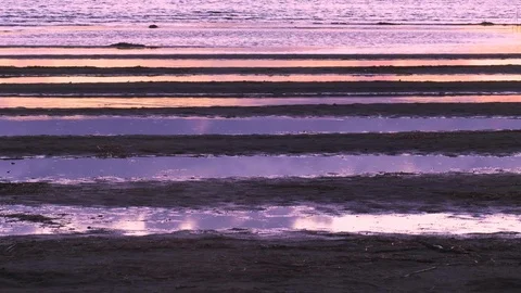 Multiple puddles in front of a lake in the evening 스톡 동영상 96112841