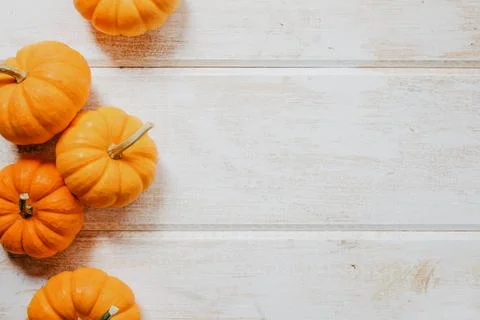 Multiple pumpkins on wood Stock Photos