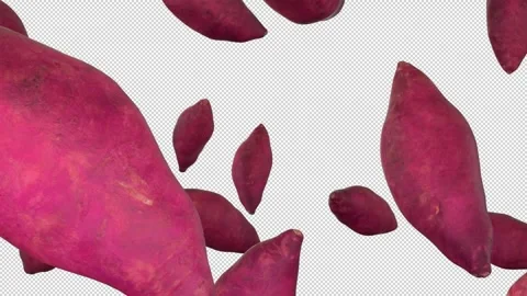 Multiple Purple Sweet Potatoes Falling Down Slowly on Alpha Channel 動画素材 339369482