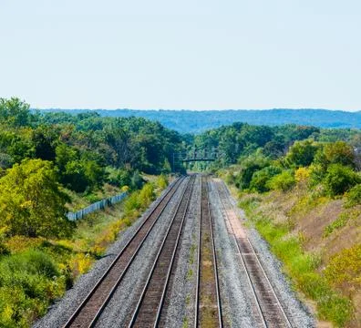 Multiple railroad tracks in forested area in Burlington, Ontario, Canada. Foto stock