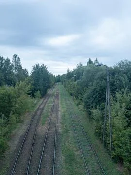 Multiple railway tracks running through a green forest corridor under an ov.. 스톡 사진