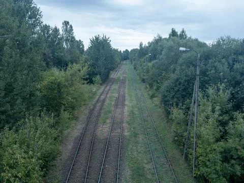 Multiple railway tracks running through a green forest corridor under an ov.. 스톡 사진