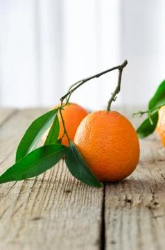 Multiple ripe tangerines Stock Photos