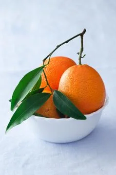 Multiple ripe tangerines Stock Photos