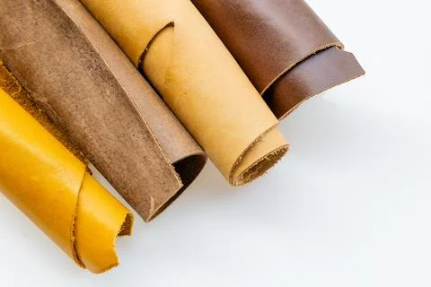 Multiple Rolled Leather Hides in Tan Brown and Yellow Tones on White Backgrou 库存照片