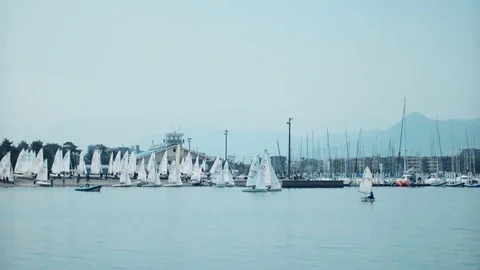 Multiple Sailing Yachts on sea Stock Footage 75051600