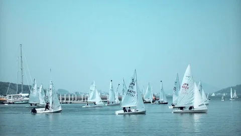 Multiple Sailing Yachts on sea Stock Footage 75051815