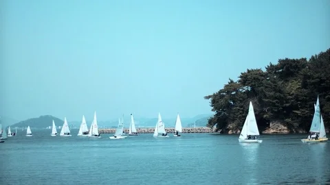 Multiple Sailing Yachts on sea Stock Footage 75051919