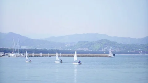 Multiple Sailing Yachts on sea Stock Footage 75052598