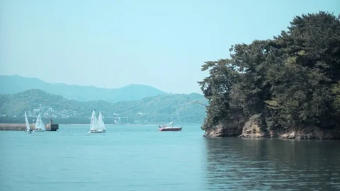 Multiple Sailing Yachts on sea Stock Footage 75066441