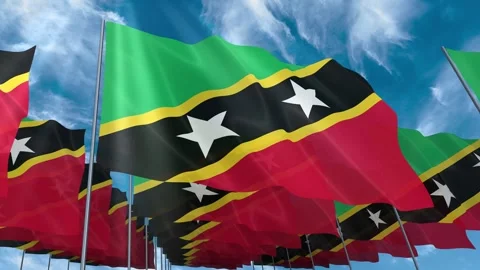 Multiple Saint Kitts and Nevis flags seamless looping waving on blue sky Stock Footage 343684121