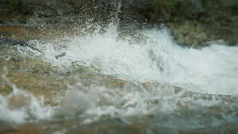 Multiple Salmon Leaping over River Weir Stock Footage 344032073