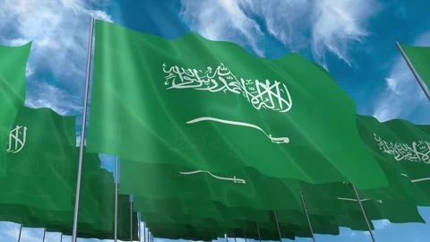 Multiple Saudi Arabia flags seamless looping waving on blue sky Stock Footage 343684343