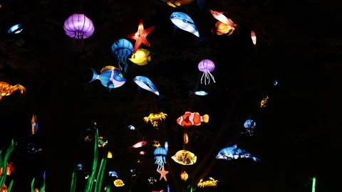 Multiple Sea Creatures Hang in Trees at Chinese Lantern Festival Stock Footage 246132581