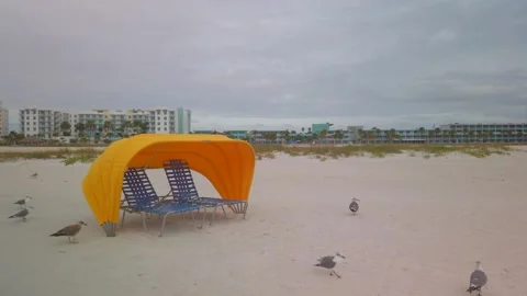 Multiple Sea gulls in front of Yellow and Blue beach chair sand in  beach Stock Footage 262712490