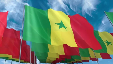 Multiple Senegal flags seamless looping waving on blue sky Stock Footage 343684389