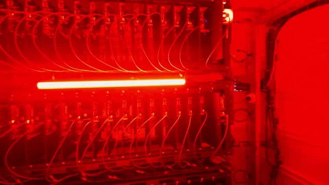Multiple servers with flashing red lights in a data center Video stock 289846079
