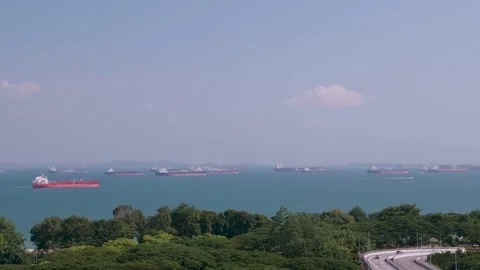 Multiple Ships in the sea with thick tree canpoy in foreground in Marine Par Video stock 229824503