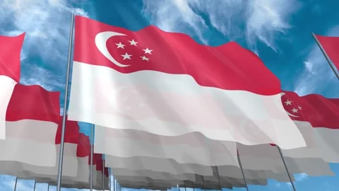 Multiple Singapore flags seamless looping waving on blue sky Stock Footage 343684543