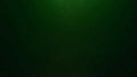 Multiple soft green flare Stockbeeldmateriaal 75427768