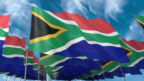 Multiple South Africa flags seamless looping waving on blue sky Stock Footage 343684674