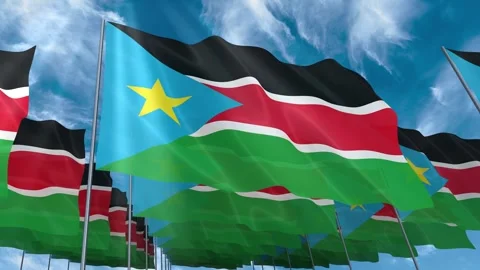 Multiple South Sudan flags seamless looping waving on blue sky Stock Footage 343684728
