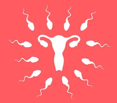 Multiple sperms are heading to fertile uterus and womb with ovaries. Competit Ilustración de archivo