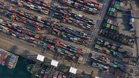 Multiple stack cranes moving over the container yard while trucks drive Vídeo Stock 229629487