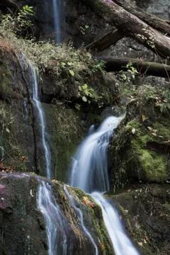 Multiple streams of water cascading over moss covered rocks in a mountain Stock Photos