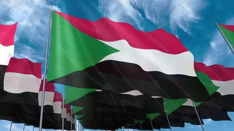 Multiple Sudan flags seamless looping waving on blue sky Stock Footage 343684887