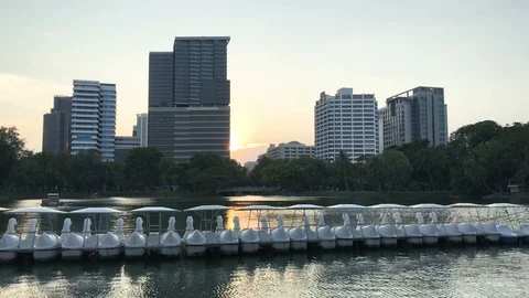 Multiple Swan Paddle Boats Lined Up in Lake of Lumpini Park in Bangkok, Thailand Stock Footage 130098326