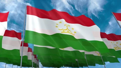 Multiple Tajikistan flags seamless looping waving on blue sky Stock Footage 343685024