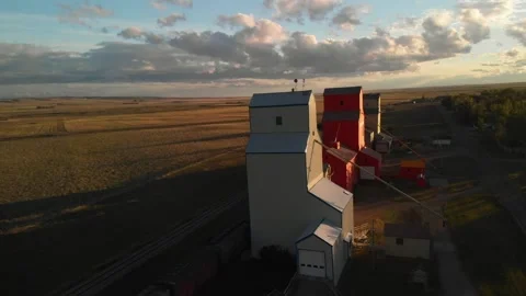Multiple tall grain elevators in fields of ripe cereal crops, with Stock Footage 170749424