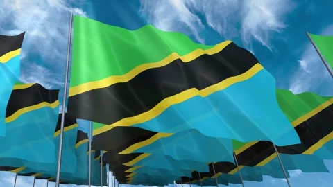 Multiple Tanzania flags seamless looping waving on blue sky Stock Footage 343685037