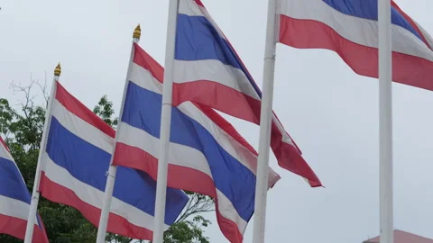 Multiple Thai Flags Waving in the Wind 動画素材 321924240