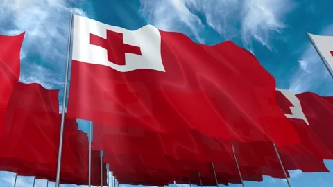 Multiple Tonga flags seamless looping waving on blue sky Stock Footage 343685099