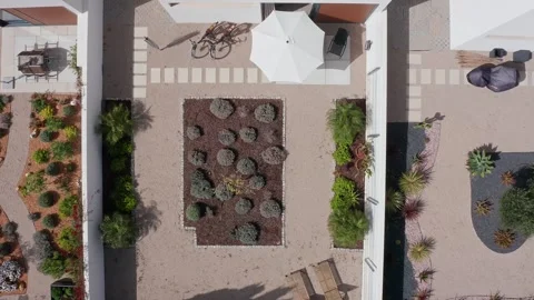 Multiple top down views of a modern backyard garden featuring various plants, a 動画素材 321009958