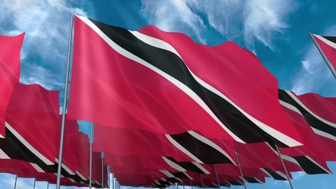 Multiple Trinidad and Tobago flags seamless looping waving on blue sky Stock Footage 343685144